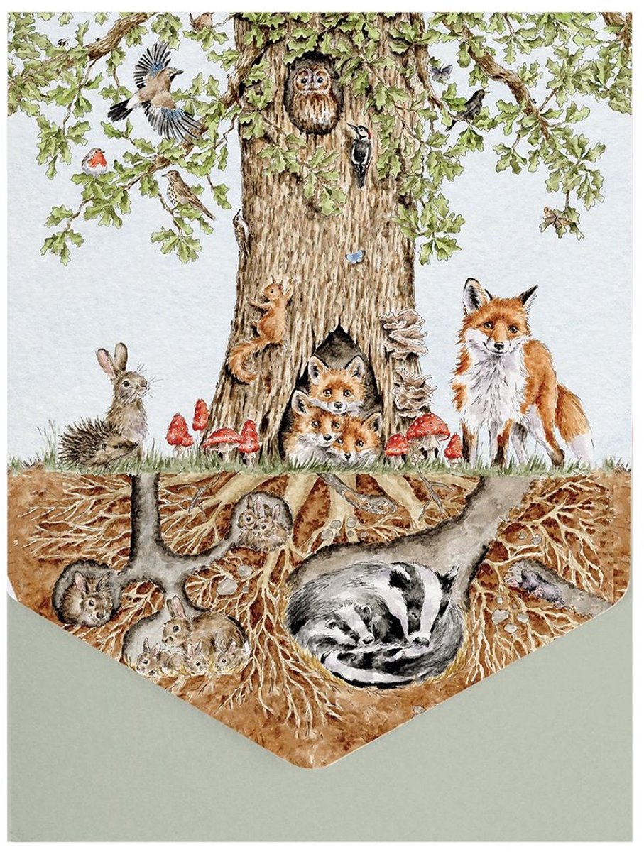 Wrendale Designs - Kaartenset - 8 stuks - 'Wild Woodland' Nature Notecard Pack - met enveloppen