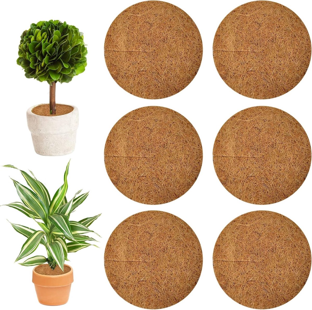 Coconut Mulch Schijven voor Planten, 6 Stuks, Bescherming tegen Vorst en Winter, Biologisch Afbreekbare Tuinmatten voor Planten en Tuinonderhoud