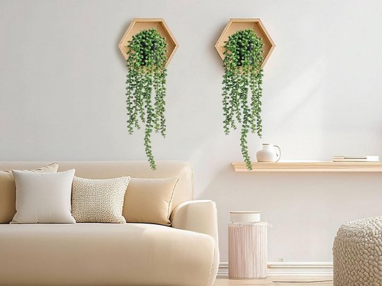 Deux plantes vertes retombantes à feuilles rondes dans des supports muraux hexagonaux au-dessus d'un canapé.