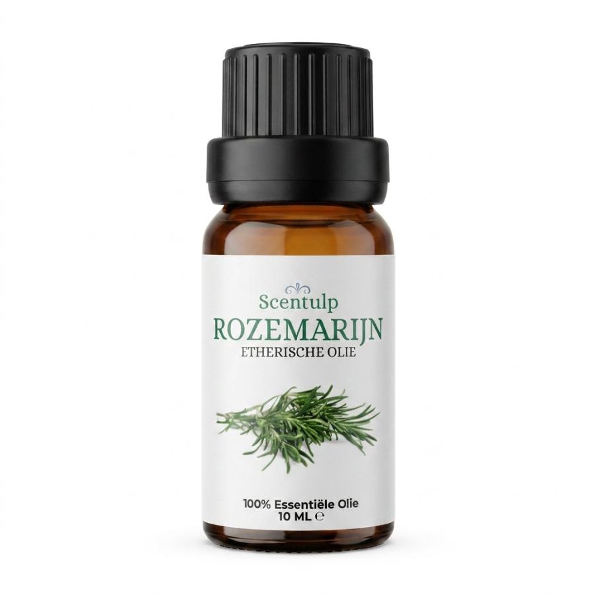Scentulp - Rozemarijn Olie Etherische Olie 10 ml – Biologisch & Natuurzuiver – Rosmarinus Officinalis – Fris, Kruidig & Houtachtig