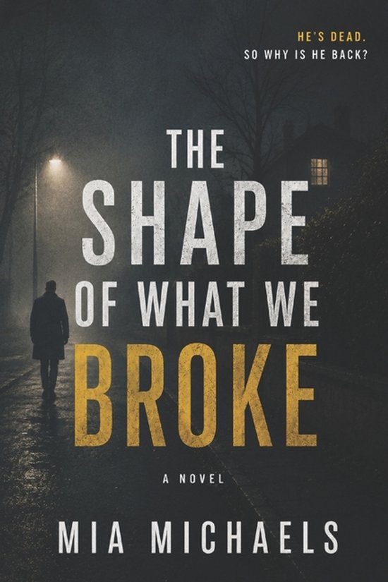 The shape of what we broke - cover