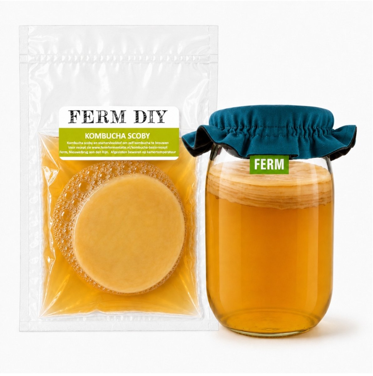 Kombucha Scoby met petrol kombucha cover | Biologische kombuchascoby | zelf kombucha maken | Kombucha zwam | kombucha brouwen | Scobymat | Startervloeistof | met katoenen dubbelzijdige kombuchacover petrol blauw