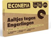 Econema: Aaltjes tegen engerlingen. Larven van kevers op gras en planten. 5 miljoen aaltjes voor 25 kamerplanten.