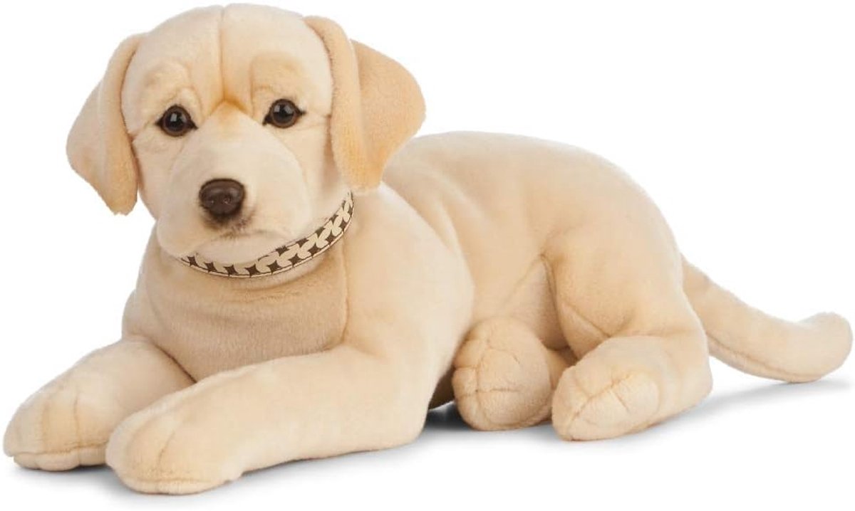 Gouden Labrador Knuffel - Pluche Hond - Kinderen Spelen - Realistische Details - 60 cm - Goud