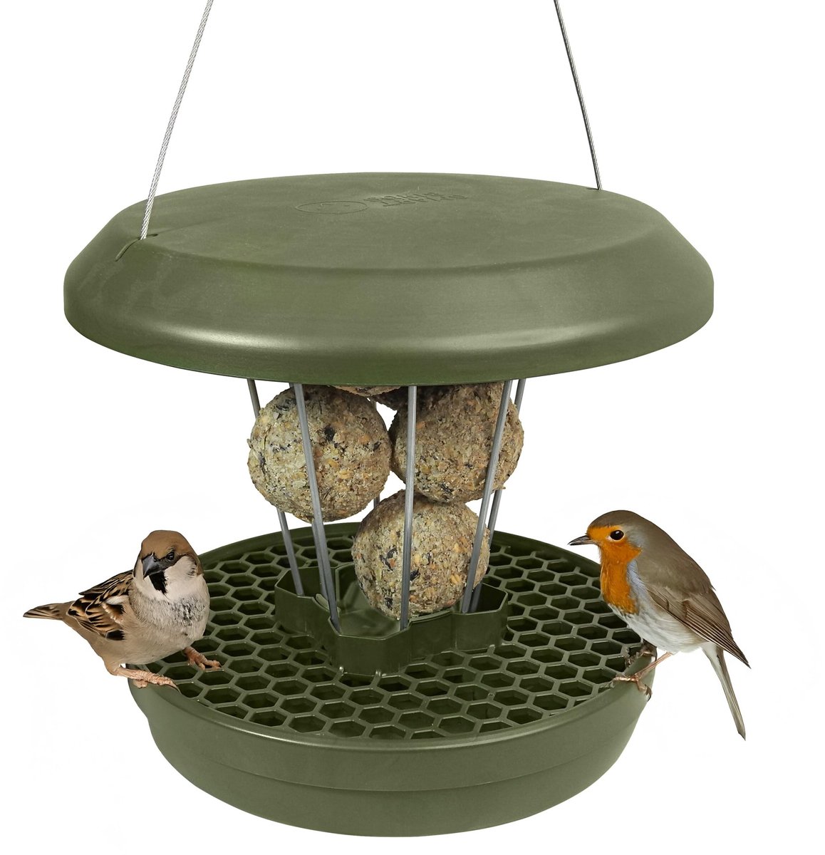 Dailygoods- Vogelvoederhuisje Muizen- en Rattenbestendig - Hangend Voederstation - Weerbestendig - Voor Vetbollen - Duurzaam Ontwerp - Voor Wilde Vogels - Vogels Feeder