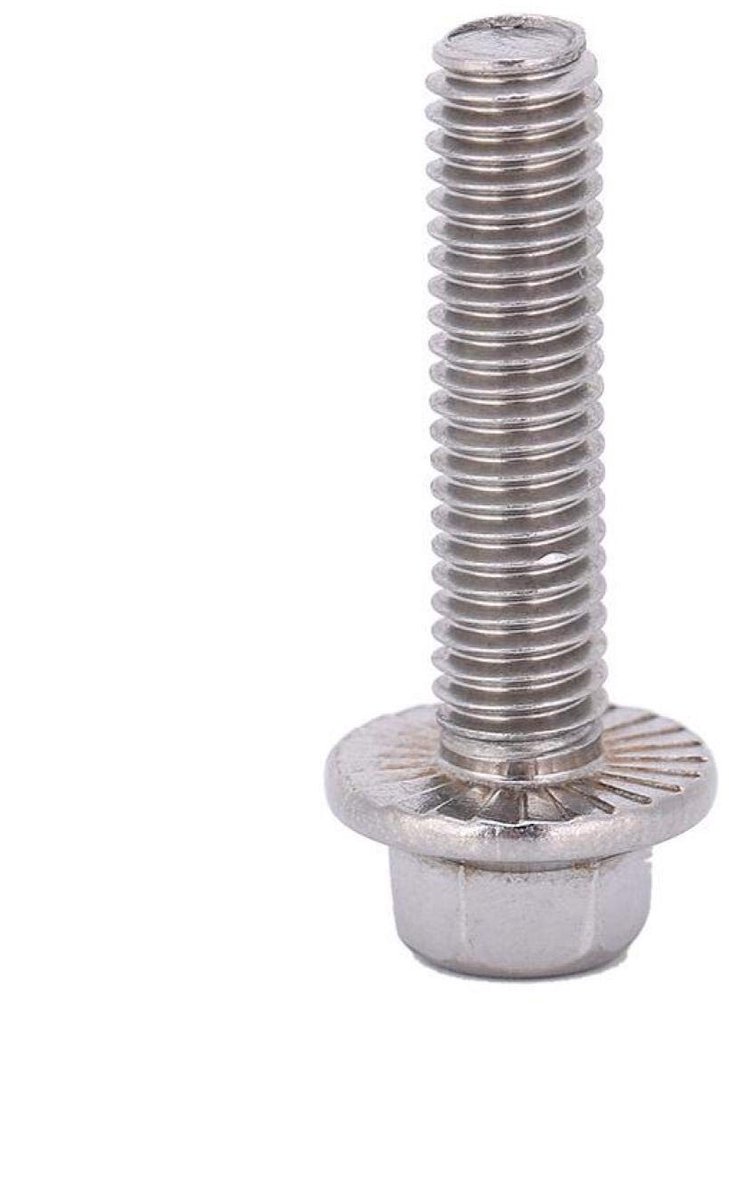 Dailygoods- Schroeven 10 stuks - M6 Flens - Roestvrij Staal 304 - Zeskant Bouten - Corrosiebestendig - Voor Bevestigingen - Bevestigingsmiddelen