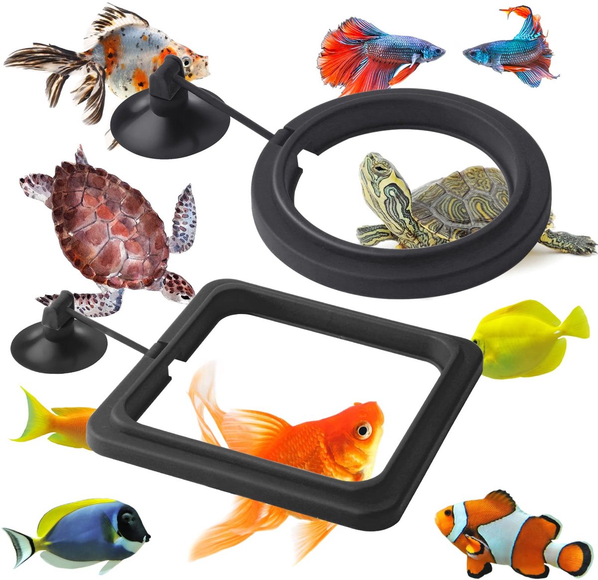 Dailygoods- Visvoederring 2-delig - Voederbak - Aquariumaccessoires - PVC-rubber - 10 x 10 cm / 7,5 x 7,5 cm - Voerdispenser voor vissen