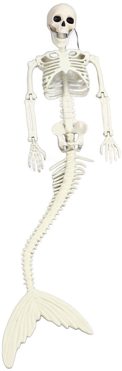 Dailygoods- Zeemeermin Skelet Levensgroot - Halloween Versiering - Beweegbare Gewrichten - Ingangsdecoratie - Zachte Staart - Feestelijke Sfeer - Halloween Decoratie