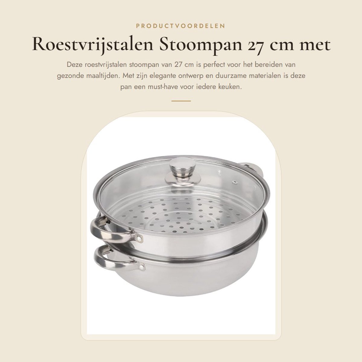 Dailygoods- Stoompan 2-laags 27cm - Roestvrij Stalen Pan - Voedselstoompan - Ergonomische Handgreep - Hoogwaardig Glazen Deksel - Elegant Ontwerp - Stoomkoker
