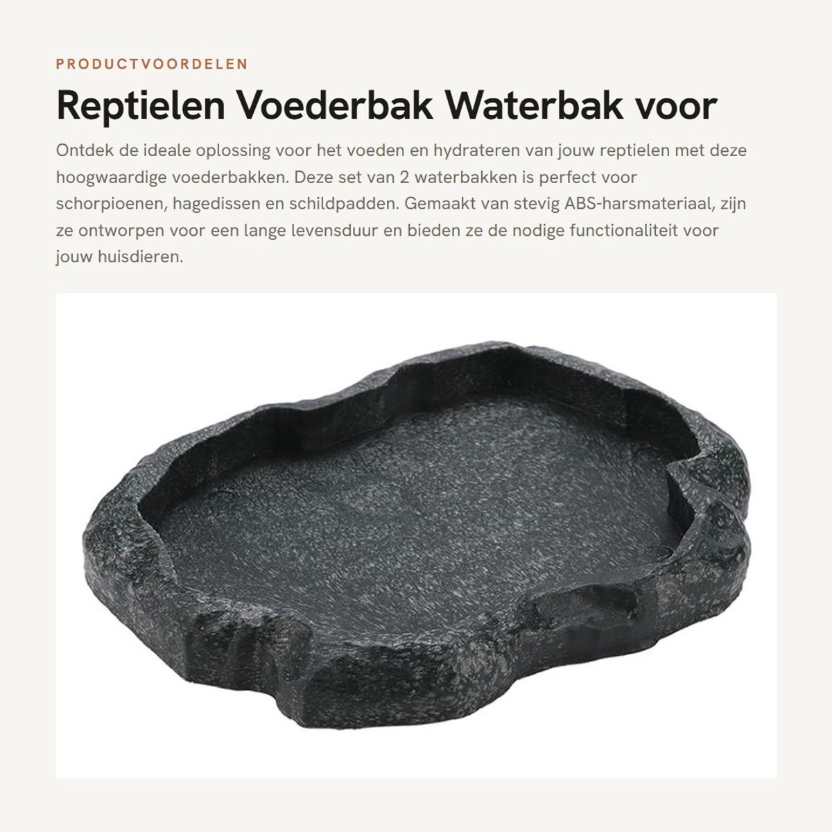 Dailygoods- Voederbak Schildpad - Voederbak Hagedis - Voederbak Waterbak - Duurzaam ABS-hars - Imitatie Rotsontwerp - Eenvoudig te Reinigen - Reptielenkom