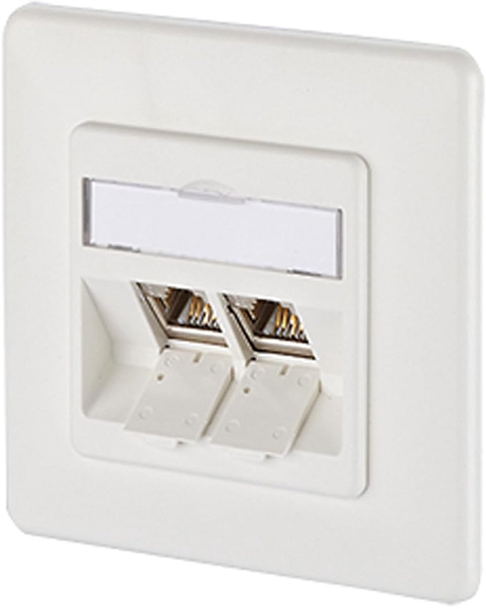 E-DAT Module - Netwerk Module - Data Infrastructuur Bouwen - Twee Poorten - 12 x 8 x 2 cm - Wit