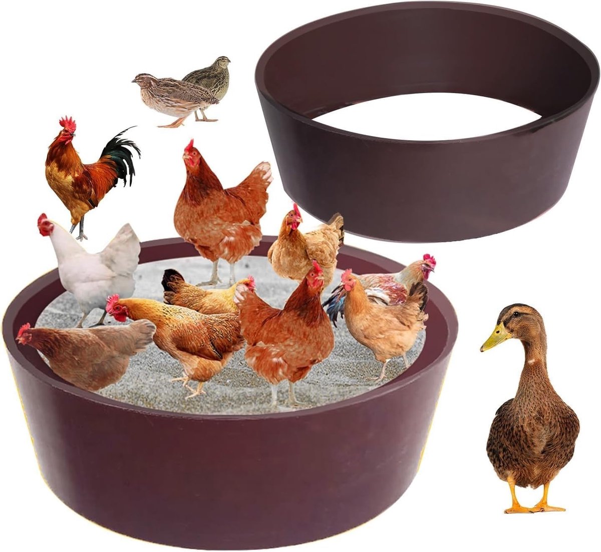 Dailygoods- Zandbad met bodemloos ontwerp - Hühnerstaubbad - Kippen zandbad - Kippenbad - Kippenaccessoire - Diameter 63,5 cm, hoogte 15 cm