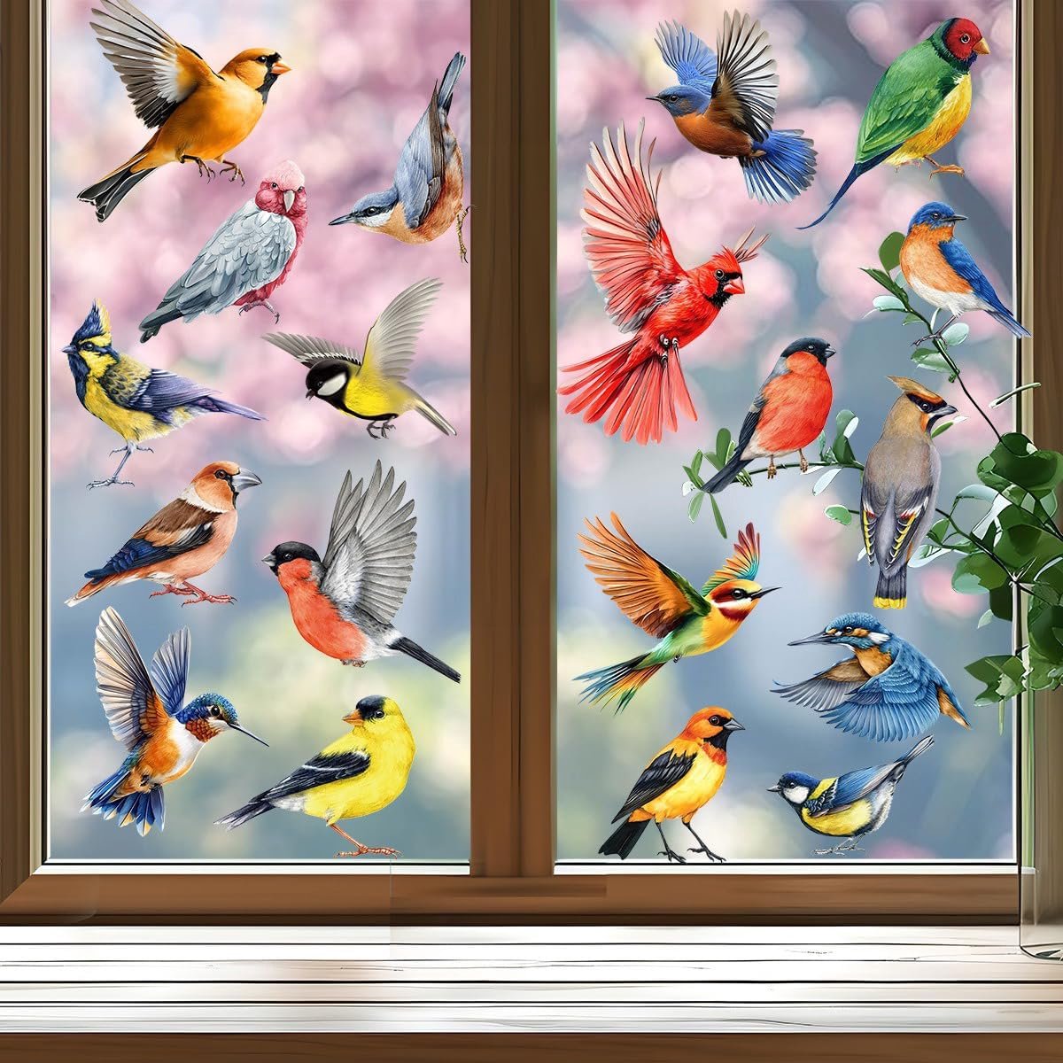 Cyslmuk 9 Vellen Met 26 stuks kleurrijke vogelmotieven - Duurzaam PVC materiaal - Herbruikbare dubbelzijdige glasstickers - Sfeervolle lente en zomer thema decoratie- voor thuisgebruik, kantoorruimtes, ramen, glasoppervlakken en diverse binnenhuis | Cyslmuk®