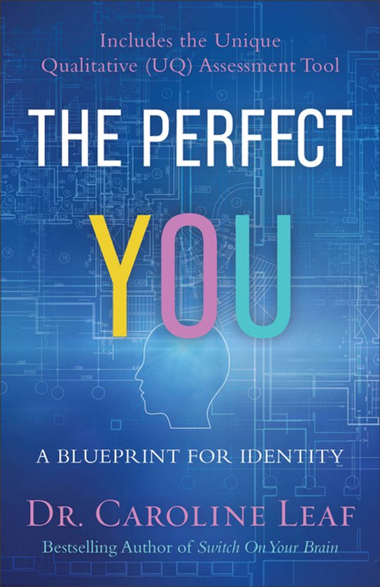Perfect You A Blueprint for Identity