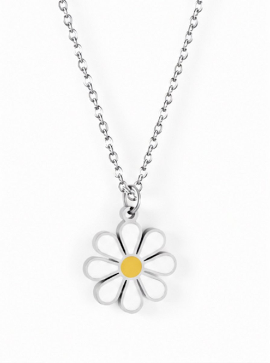 Luxe ketting - verguld - Stijlvolle ketting - Zilverkleurig - Roestvrijstalen -Cadeau Voor Vrouwen- cadeau -Valentijn - Liefde - Verrassing