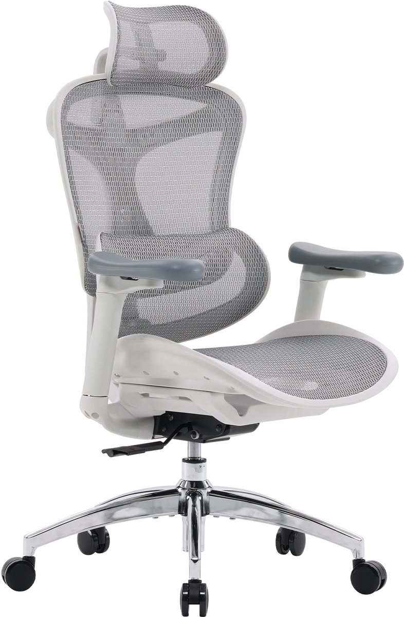 SIHOO C300L Ergonomische Bureaustoel - Met Hoofdsteun - Verstelbare Rugleuning & Lendenkussen - 4D Armleuningen - Zelfaanpassende Lendensteun - Verstelbare Hoogte - Max. 150kg - Voor Kantoor, Thuis & Gaming - Grijs