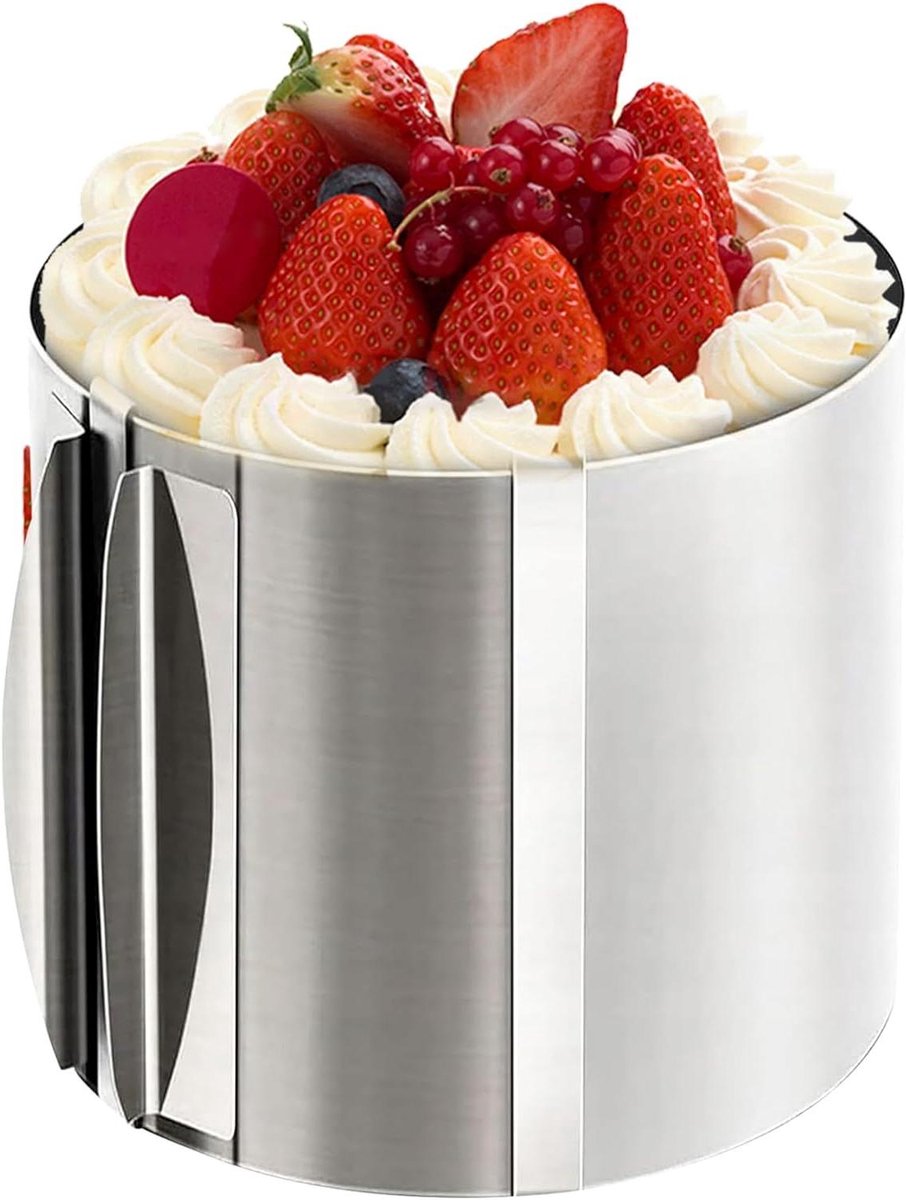 Cakevorm Ring - Bakring Verstelbaar - Taarten Maken - Roestvrij Staal - 6-12 Inch - Zilver