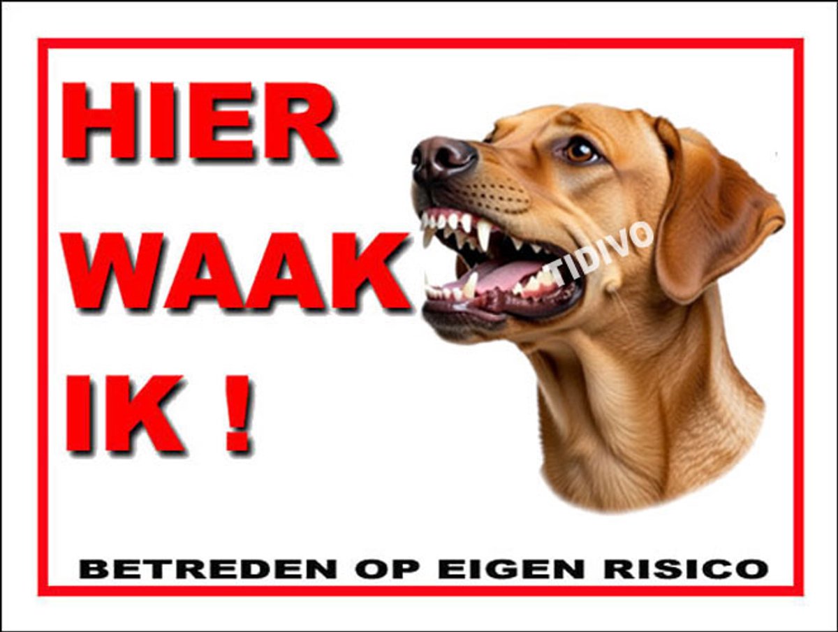 Broholmer 3