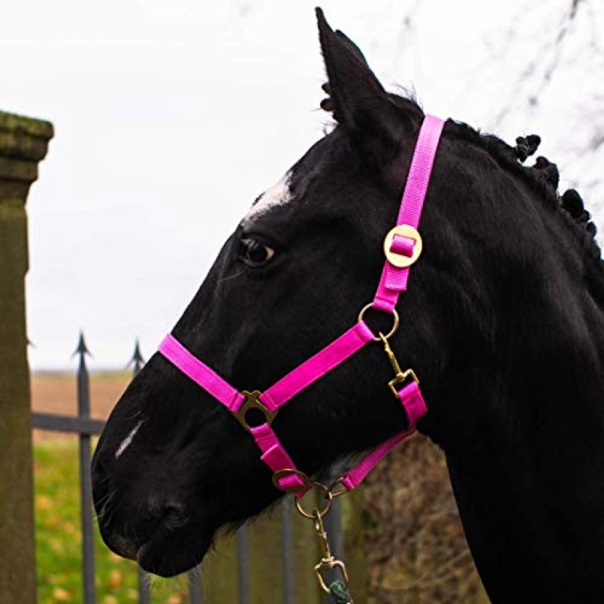 Halfter voor Paard – 2-voudig Verstelbaar aan Kinriem en Nekstuk, Scheurvast & Veilig – Roze, Warmbloed (Vol)