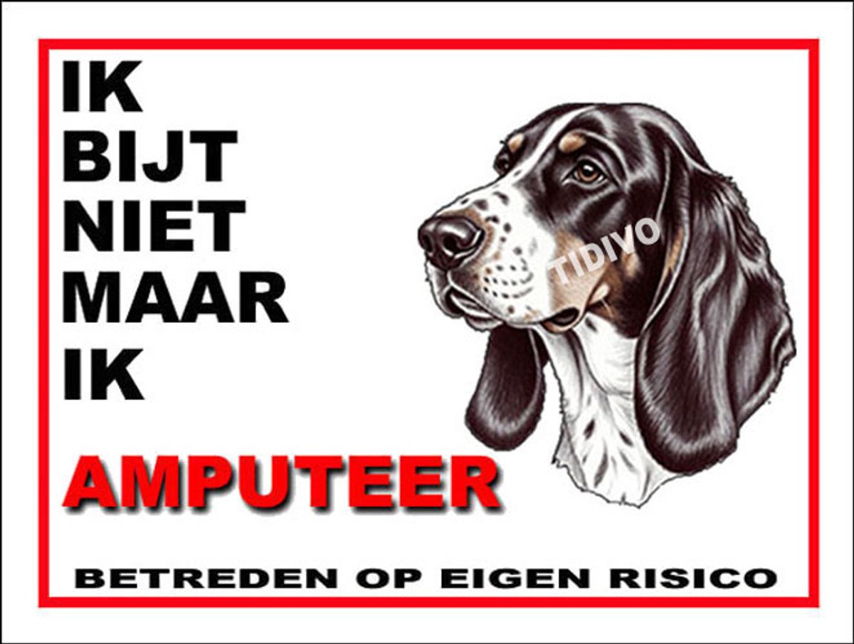 Berner Laufhund 5