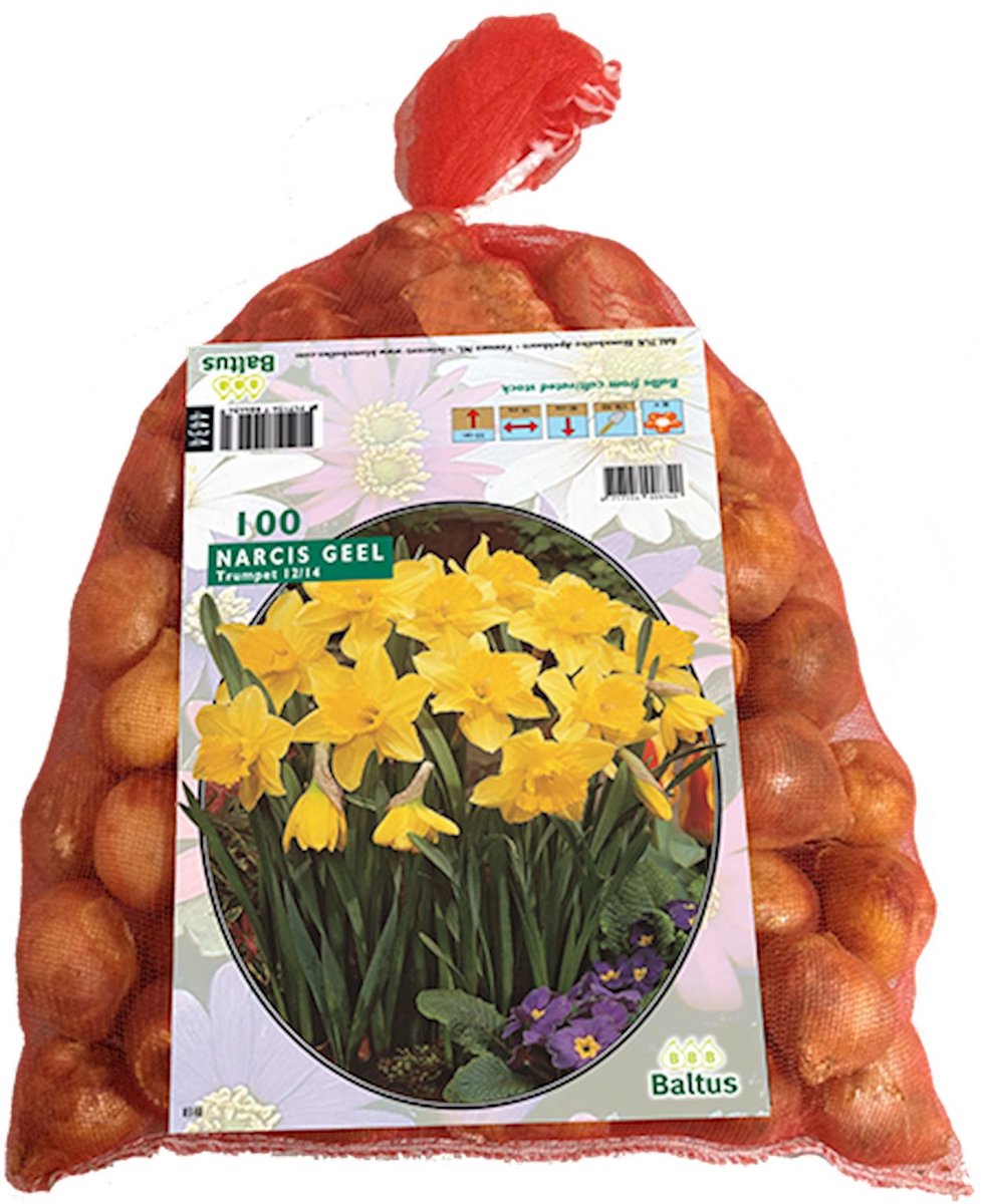 Bloembol Narcis geel - 100 stuks - voordeelverpakking
