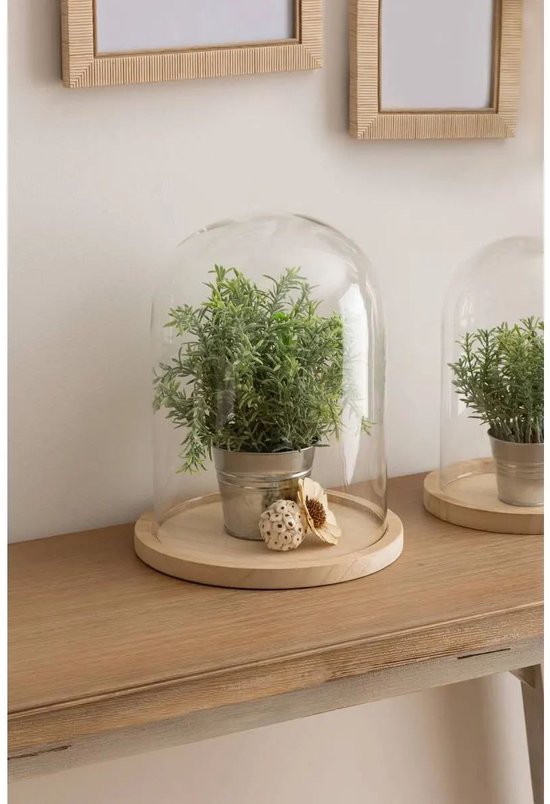 Cloche en verre avec des plantes vertes sur un plateau en bois, sur une table en bois.