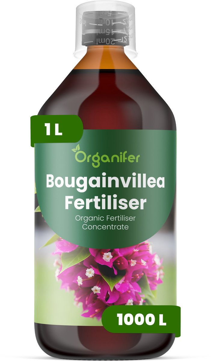 Vloeibare Meststof Voor Bougainvillea 1 L Voor 1000 L - Npk 2-1-8 - Krachtige Groei - Levendige Schutbladeren - Kleurintensiteit - Nieuwe Scheuten - Sterk Wortelstelsel - Compacte Groei - Herstel Na Snoei - Organifer