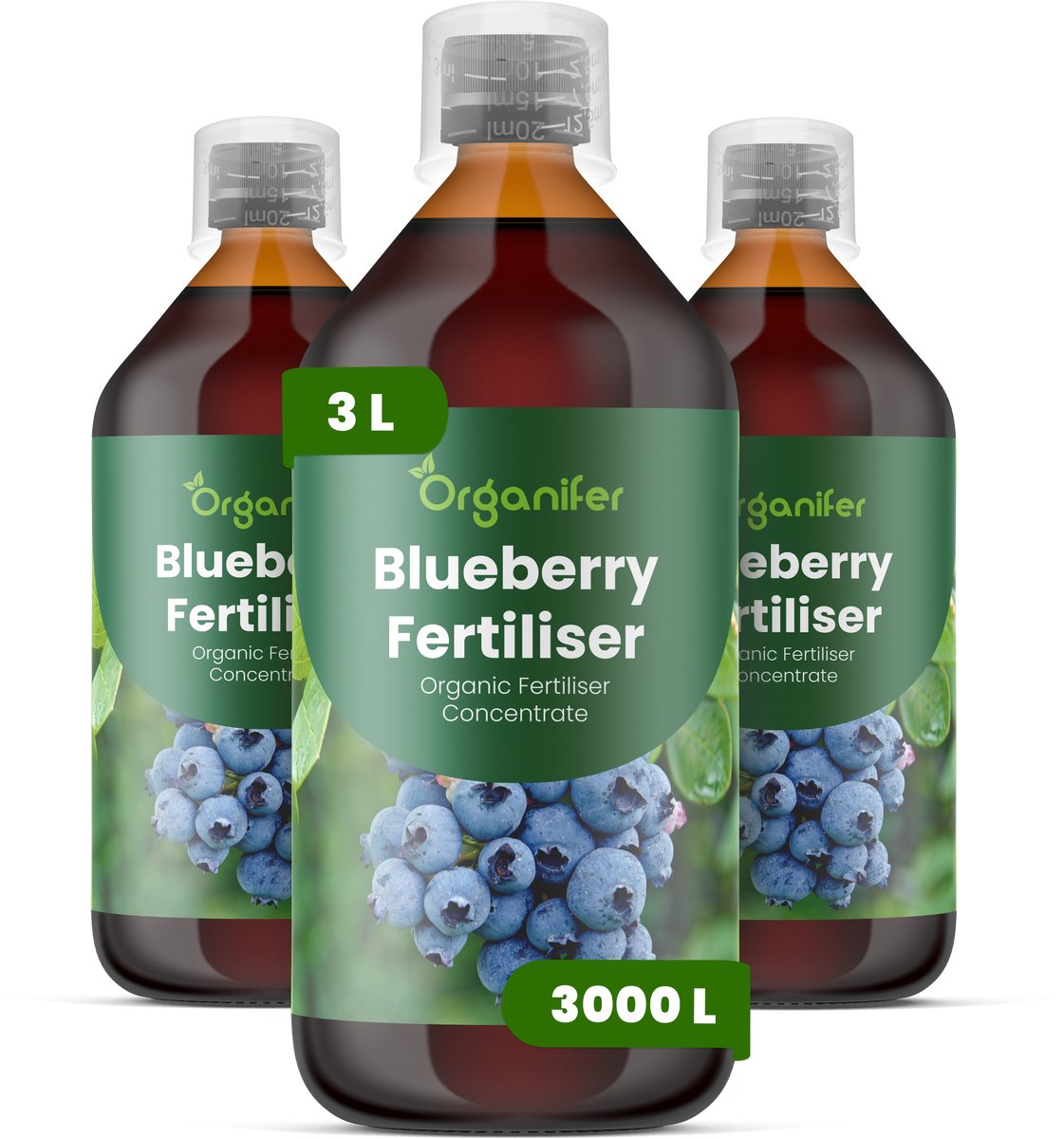 Vloeibare Meststof Voor Blauwe Bessen 3X1 L Voor 3000 L - Npk 2-1-8 - Sterke Scheuten - Grotere Bessen - Diepe Blauwe Kleur - Zure Bodem - Sterk Wortelstelsel - Vruchtzetting - Stressbestendig - Hoge Opbrengst - Organifer