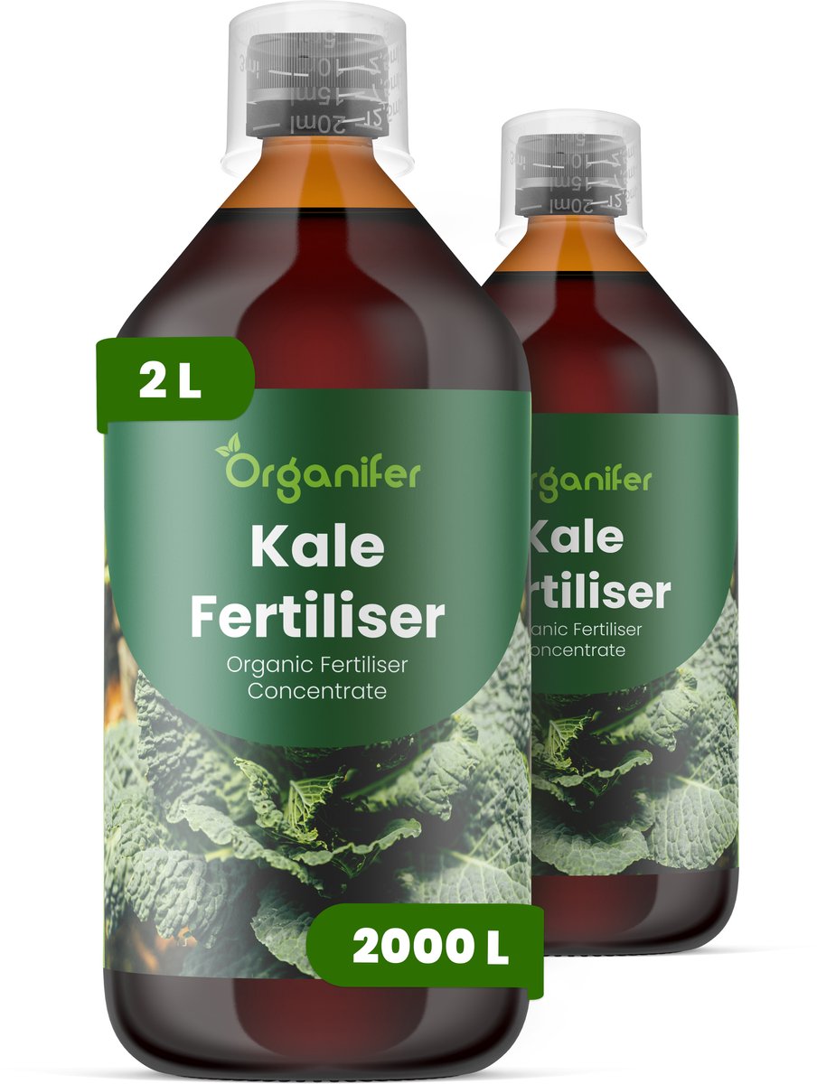 Vloeibare Meststof Voor Boerenkool 2X1 L Voor 2000 L - Npk 2-1-8 - Voedingsrijke Bladgroei - Sterke Wortels - Bladkleur - Bladtextuur - Koudebestendig - Compacte Groei - Herhaalde Oogst - Consistente Hergroe - Lange Teeltseizoen - Organifer