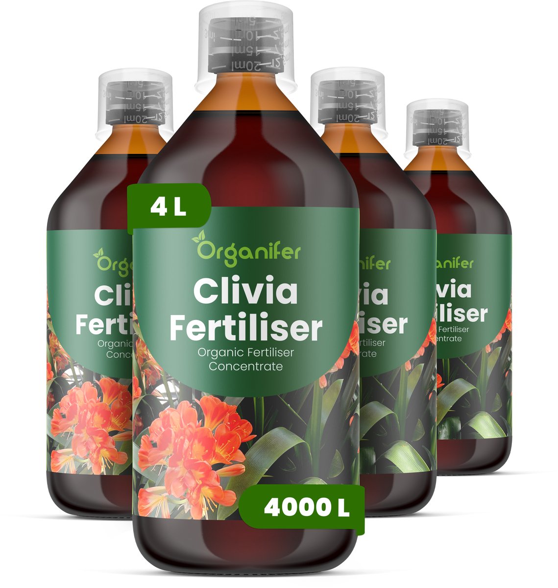 Vloeibare Meststof Voor Clivia 4X1 L Voor 4000 L - Npk 3-4-3 - Krachtige Groei - Sterke Bladontwikkeling - Rijke Bloei - Sterke Wortelstructuur - Bolstructuur - Verhoogde Weerbaarheid - Organifer