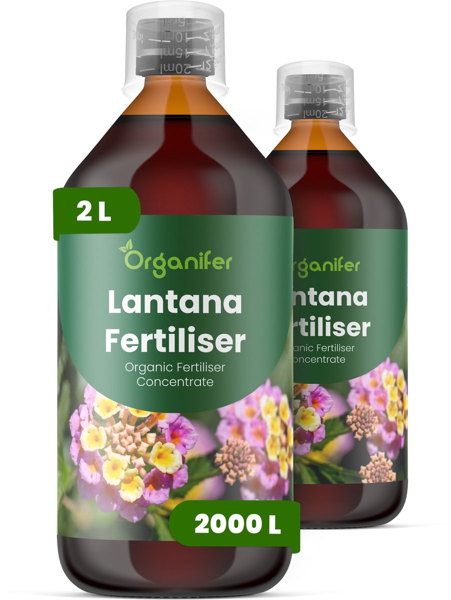 Vloeibare Meststof Voor Lantana 2X1 Voor 2000 L - Npk 2-1-8 - Continue Bloei - Kleurintensiteit - Bloemgrootte - Bloeiduur - Sterke Stengels - Compacte Plant - Hittebestendig - Plantweerbaarhei - Snel Herstel Na Snoei - Organifer