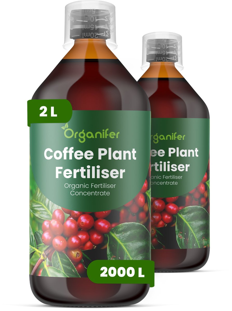 Vloeibare Meststof Voor Koffieplanten 2X1 L Voor 2000 L - Npk 2-1-8 - Gezonde Groei - Sterke Bladontwikkeling - Sterke Wortels - Weerbaarheid - Bloemvormin - Algehele Vitaliteit - Sierkoffievariëteiten - Organifer