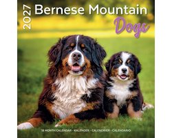 Berner Sennen Kalender 2027