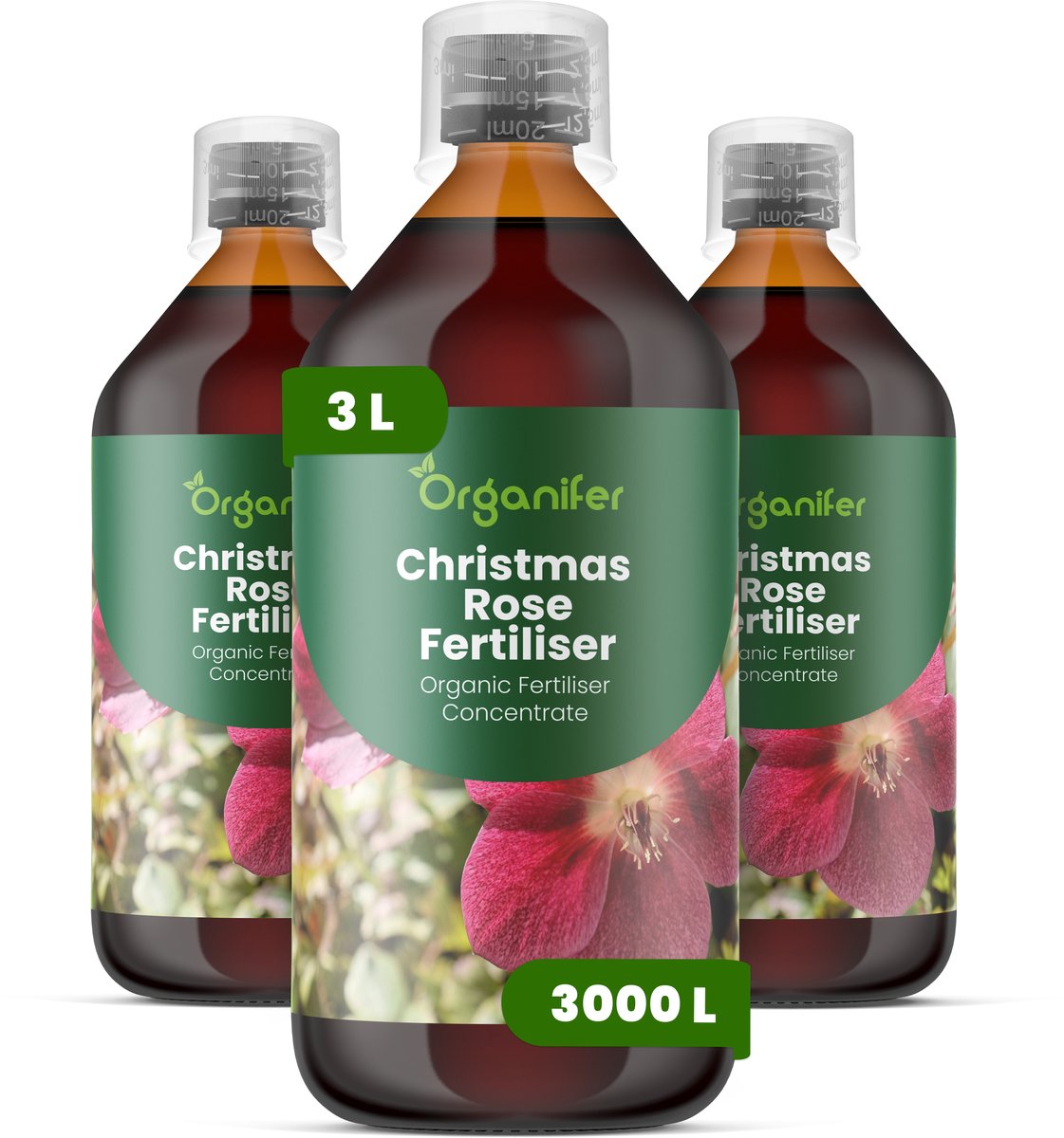 Vloeibare Meststof Voor Kerstroos 3X1 L Voor 3000 L - Npk 3-4-3 - Krachtige Groei - Knopontwikkeling - Sterke Wortels - Stevige Bloemen - Goed Gevormde Bloemen - Bladgezondheid - Rijke Bloei - Jaarrond Sierwaarde - Organifer