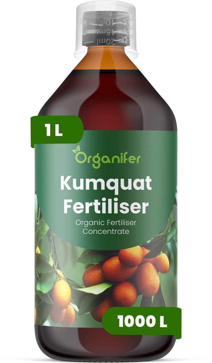 Vloeibare Meststof Voor Kumquat 1 L Voor 1000 L - Npk 2-1-8 - Krachtige Bloei - Vruchtvorming - Nutriëntenopname - Wortelvitaliteit - Vruchtzoetheid - Kleurintensiteit - Groenblijvend Blad - Vertakking - Droogtestress - Kuipcitrus - Organifer
