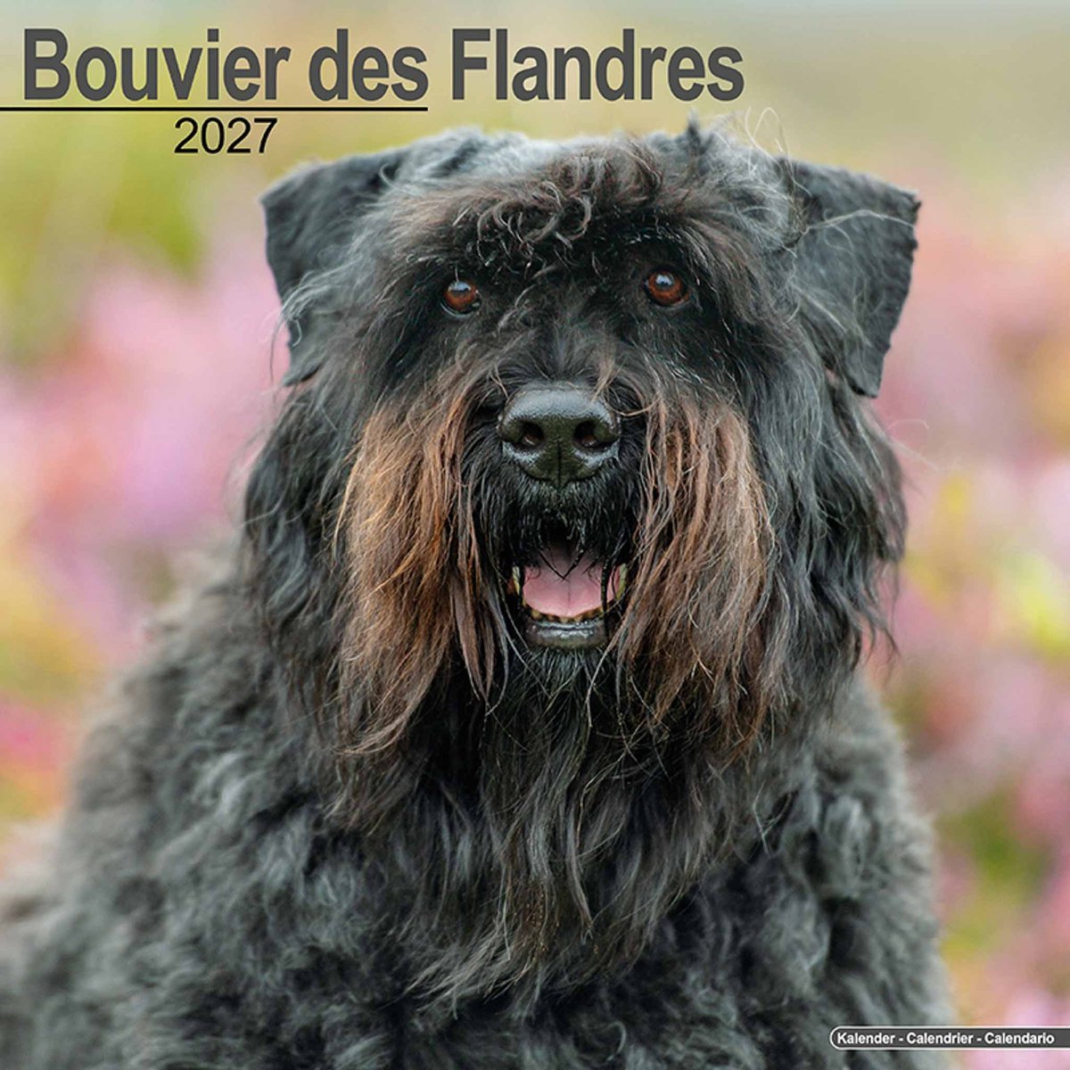 Bouvier Kalender 2027