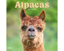 Alpaca Kalender 2027