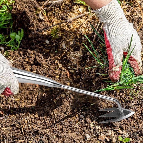 Handmatige onkruidverdelger - Onkruidtrekker tuingereedschap - Tuinonderhoud gazon - Robuuste 3-tanden - 5x5x5 centimeter - Roestvrij staal van Merkloos	 — afbeelding 2