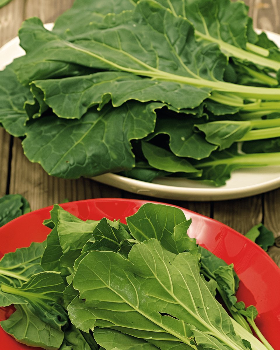 Komatsuna Zaden Brassica Rapa Mosterdspinazie Groentezaden Snelgroeiend