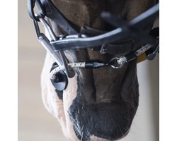 ThinLine - Busy Buddy – Kalmeert Paarden - Hoofdstel