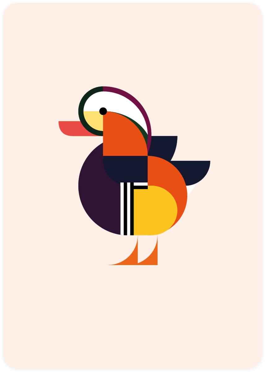 Eendje - 4x leuke wenskaarten - kaarten om te versturen - kaartenset - kaart met Mandarijneend - vier kaarten met watervogels