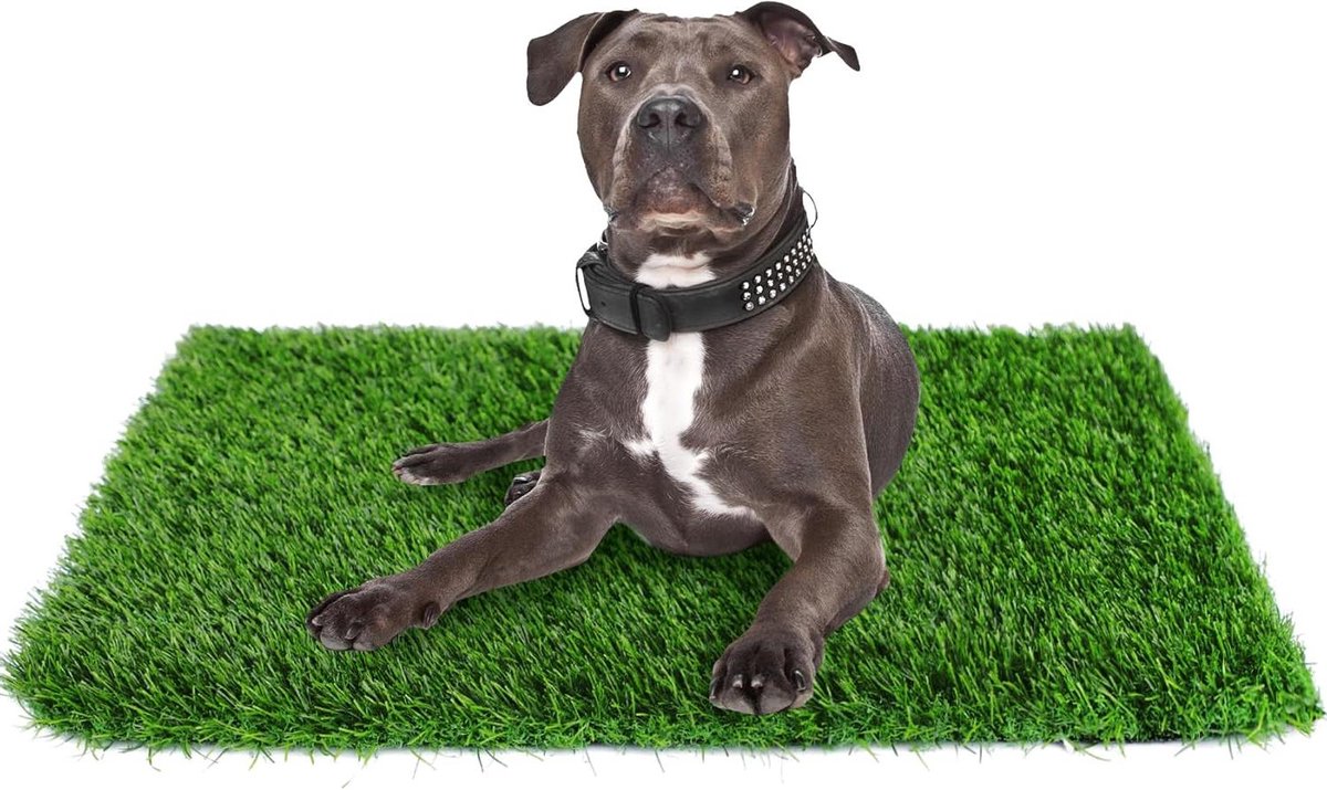 Kunstgras voor honden - Hondenplasmat puppygras - Zindelijkheidstraining huisdier - Dikke hoge afvoer - 100 x 80 cm - Groen