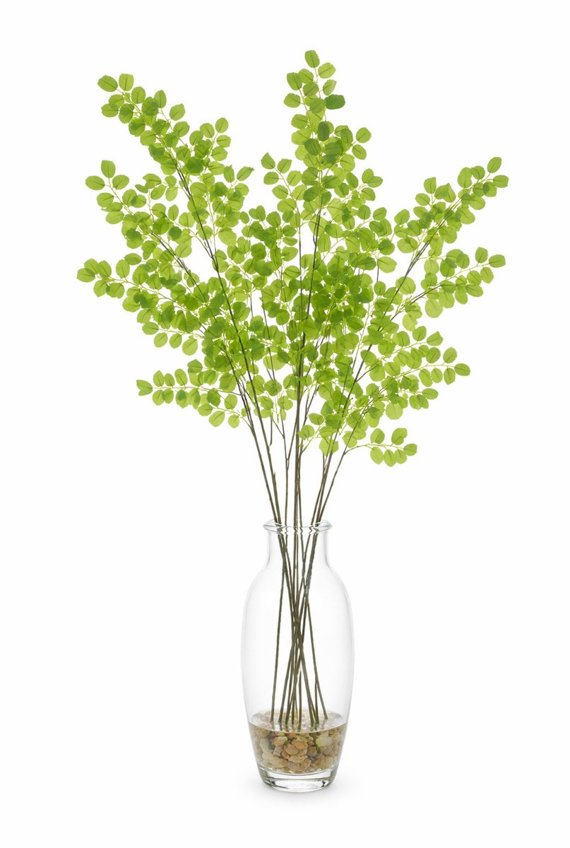 Bellatio Design Kunsttak / kunstbloem Button Leaf - 8x - 90 cm - groen - boeket opvulling bladgroen Lichtgroen