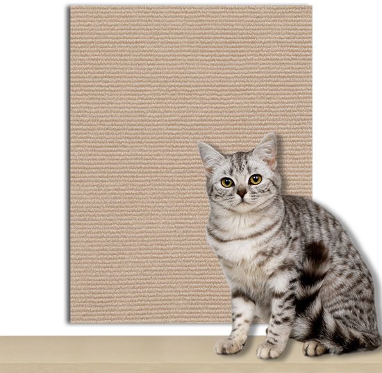 Een zilver gestreepte kat zit voor een groot beige vlak met een horizontale textuur.