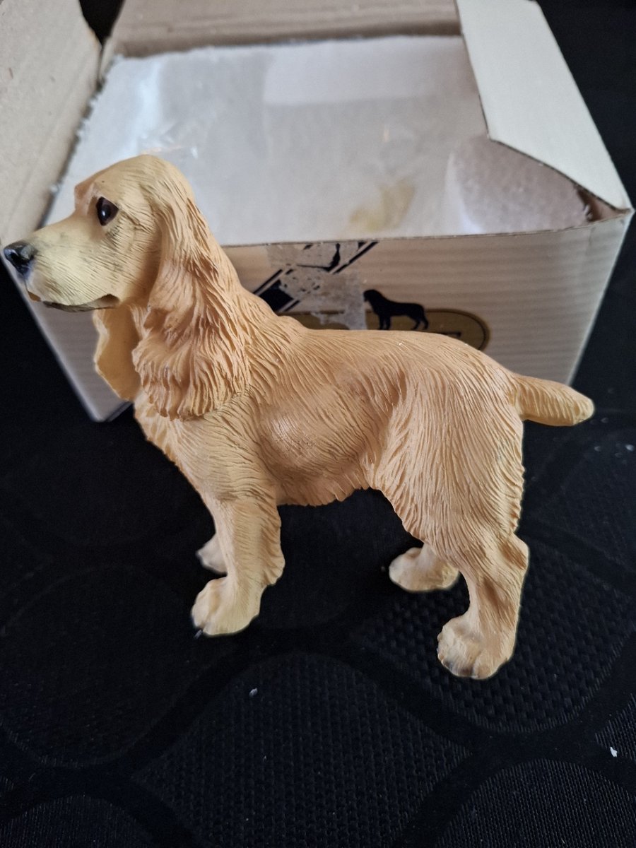 beeld cocker spaniel