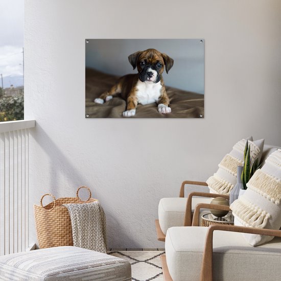 Affiche de jardin chiot Boxer couché sur un kussen 90x60 cm - Toile de jardin / Toile d'extérieur / Peintures pour l'extérieur (décoration de jardin)
