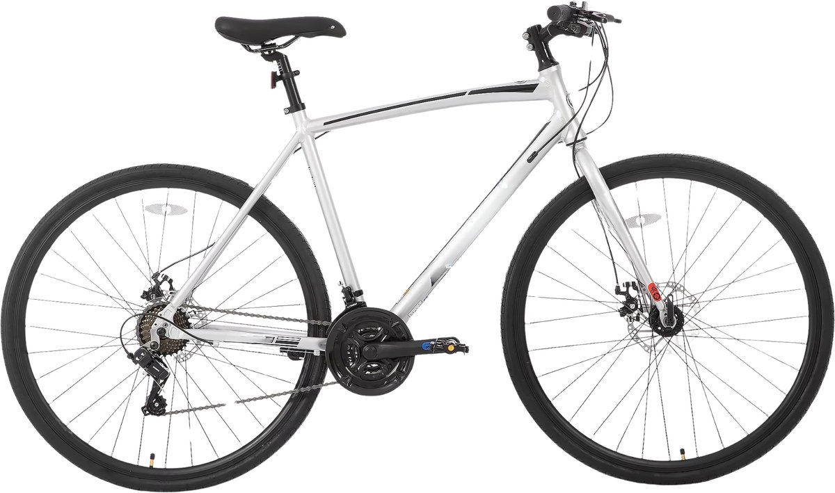 Racefiets – Voor volwassenen – 14 versnellingen, lichtgewicht aluminium frame, geschikt voor stadswoon-werkverkeer en fitness – Zilver, M, 700c