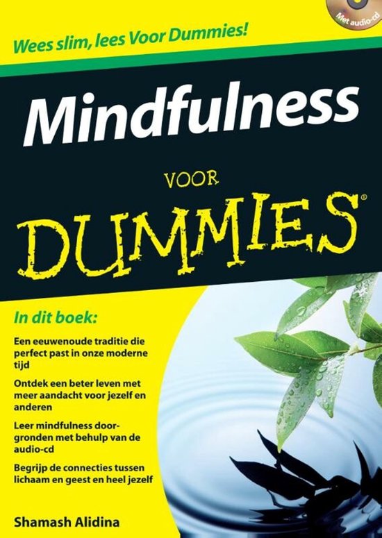 Voor Dummies - Mindfulness voor Dummies - cover