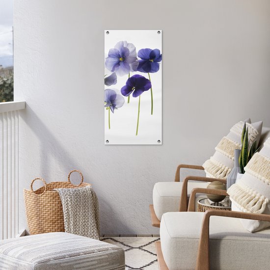 Poster de jardin Violettes violettes sur caisson lumineux - 40x80 cm - Décoration murale Outdoor - Poster de jardin - Toile de jardin - Poster de clôture - Tableau de jardin