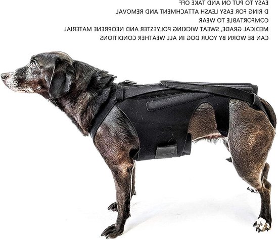 Steunband voor honden met artritis en IVDD, rugondersteuning voor herstel, pijnverlichting en comfort — afbeelding 2
